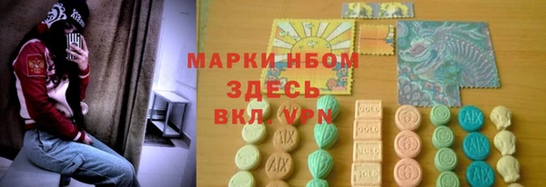 стафф Богданович