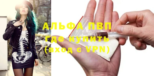стафф Богданович