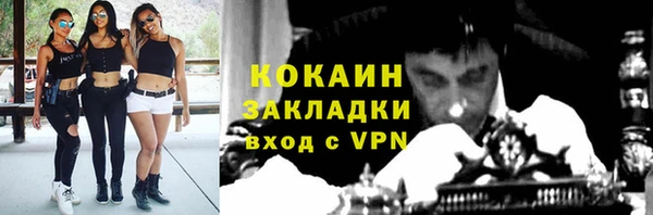 стафф Богданович
