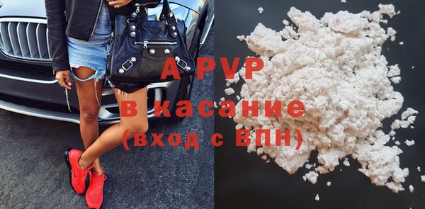 стафф Богданович