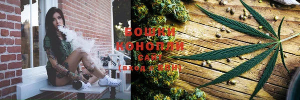 стафф Богданович