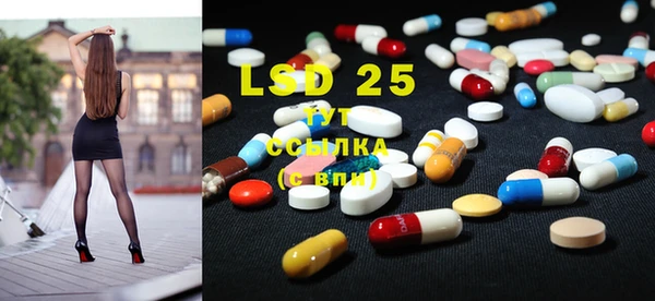 стафф Богданович