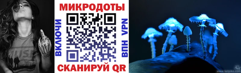 Галлюциногенные грибы Psilocybe  хочу наркоту  Самара 